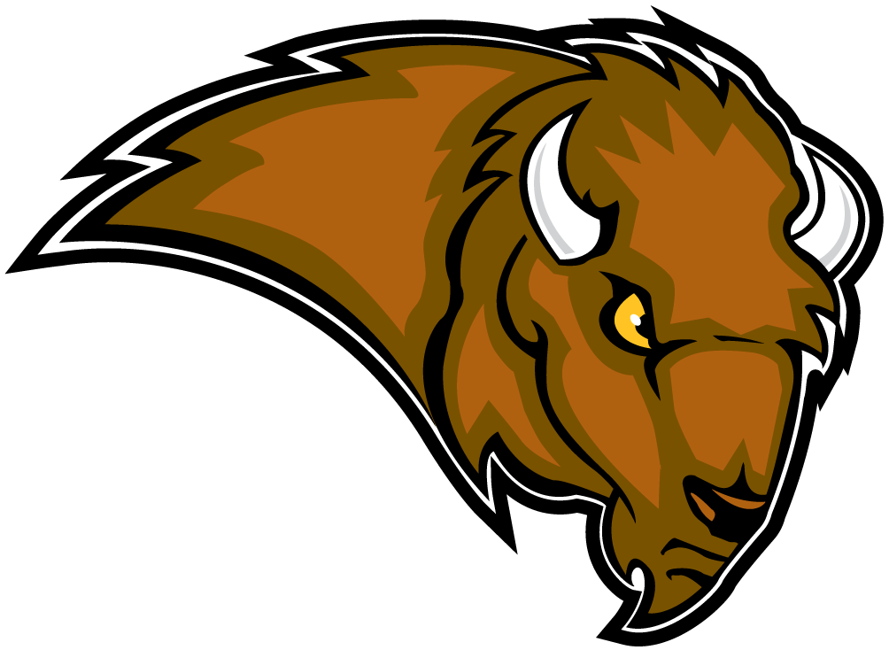 Lipscomb Bisons 2002-2011 Secondary Logo diy iron on heat transfer